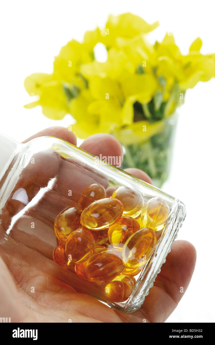 Plantes médicinales ou étoile du soir d'onagre (Oenothera biennis), main tenant une bouteille du pharmacien avec capsules Banque D'Images