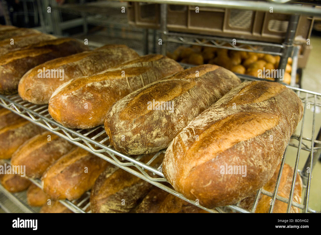Miches de pain dans une boulangerie Banque D'Images