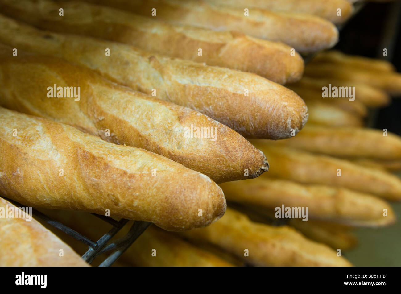 Miches de pain dans une boulangerie Banque D'Images