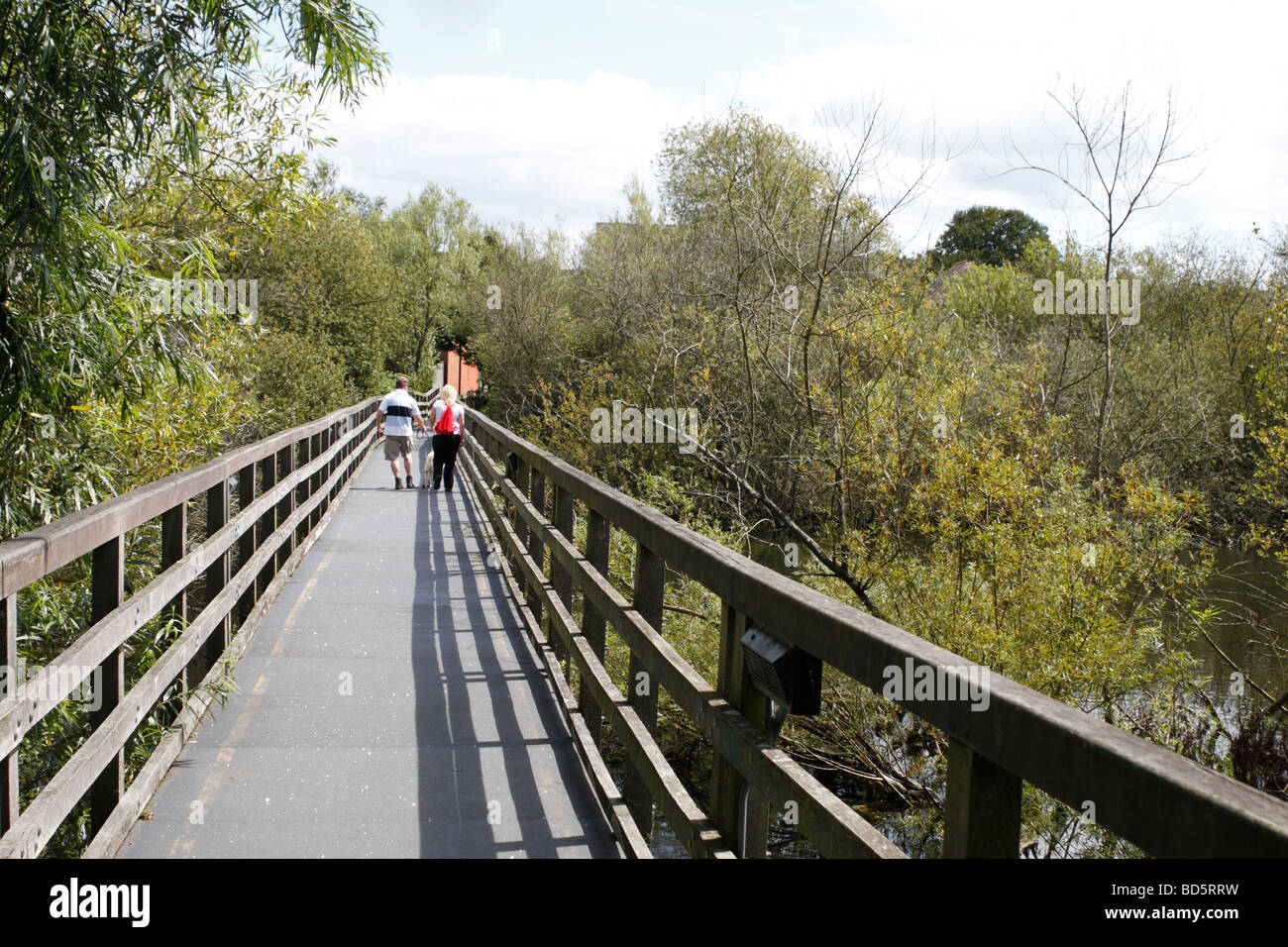 Un couple en train de marcher leur chien à travers l'Étang Bridge, Bishop's Waltham, dans le Hampshire. Banque D'Images