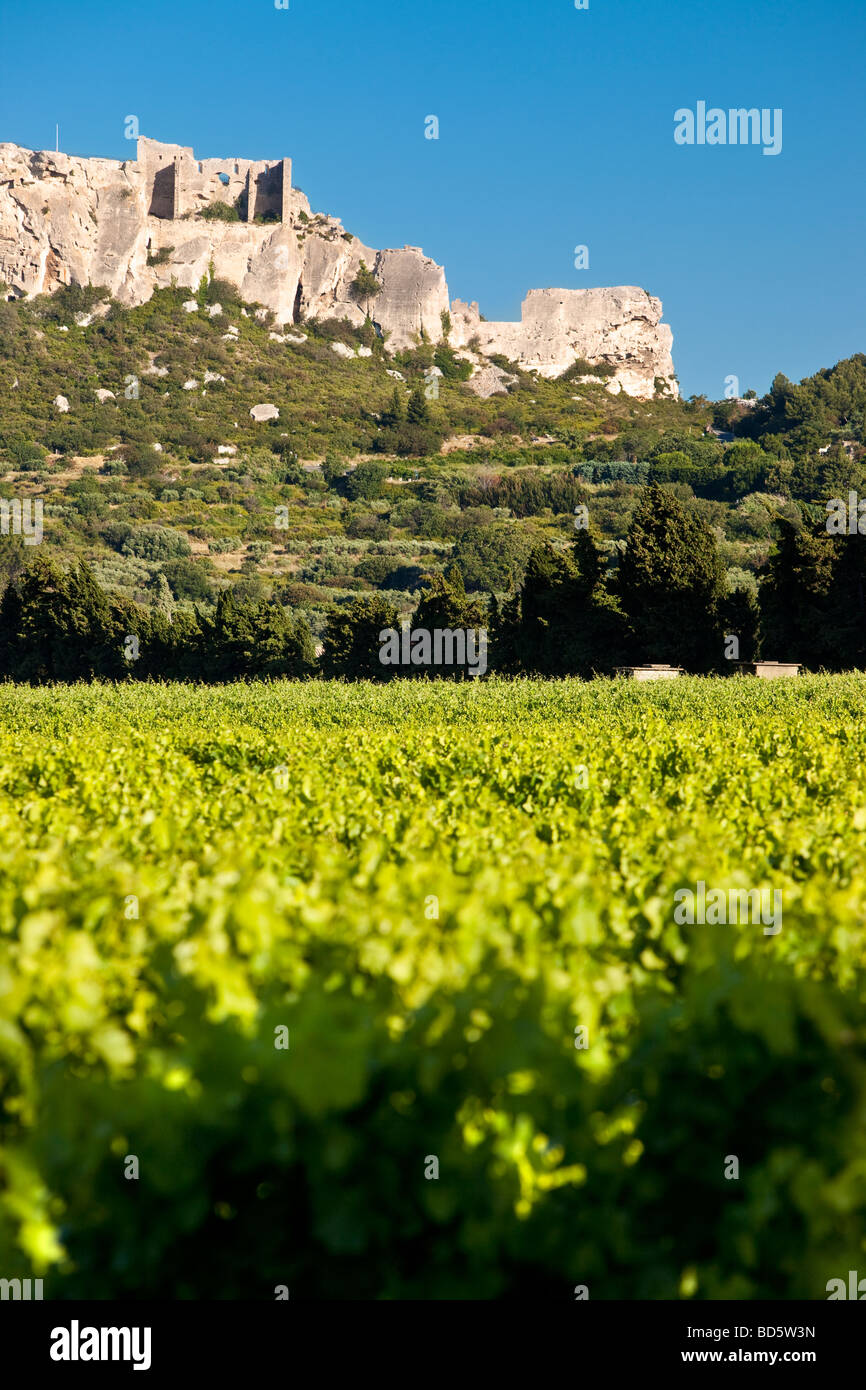 Vigne ci-dessous cité médiévale des Baux de Provence, France Banque D'Images