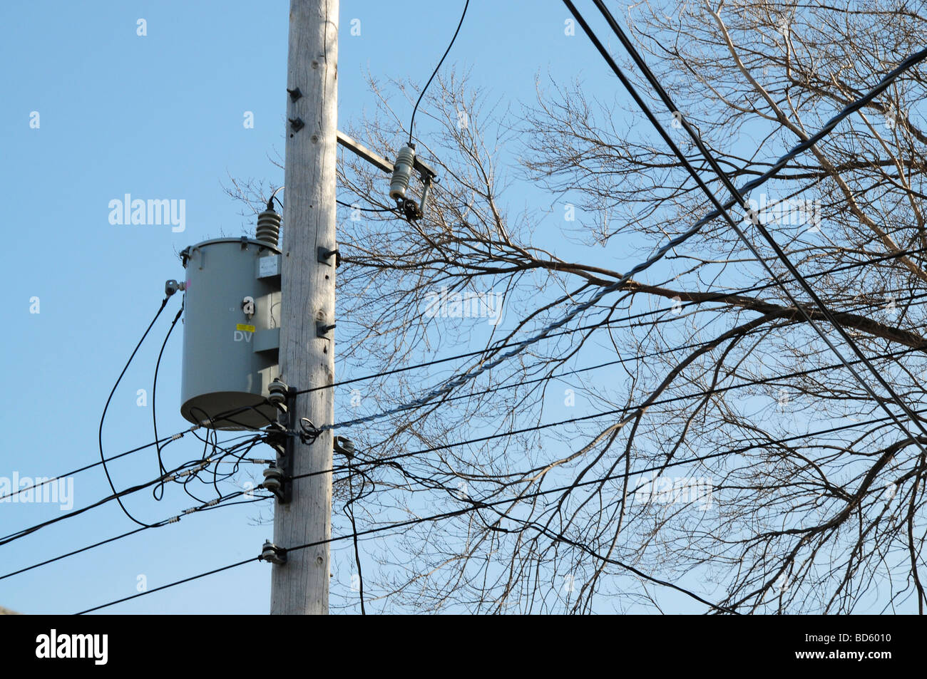 Les fils de téléphone contre un ciel bleu--télécommunications Banque D'Images