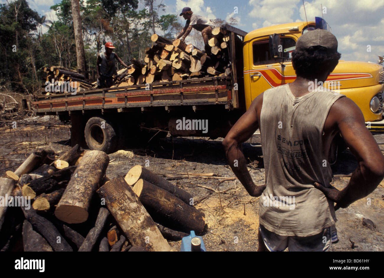 Le déplacement de bois de chauffage pour la production de charbon de la Déforestation La déforestation amazonienne au Brésil Banque D'Images