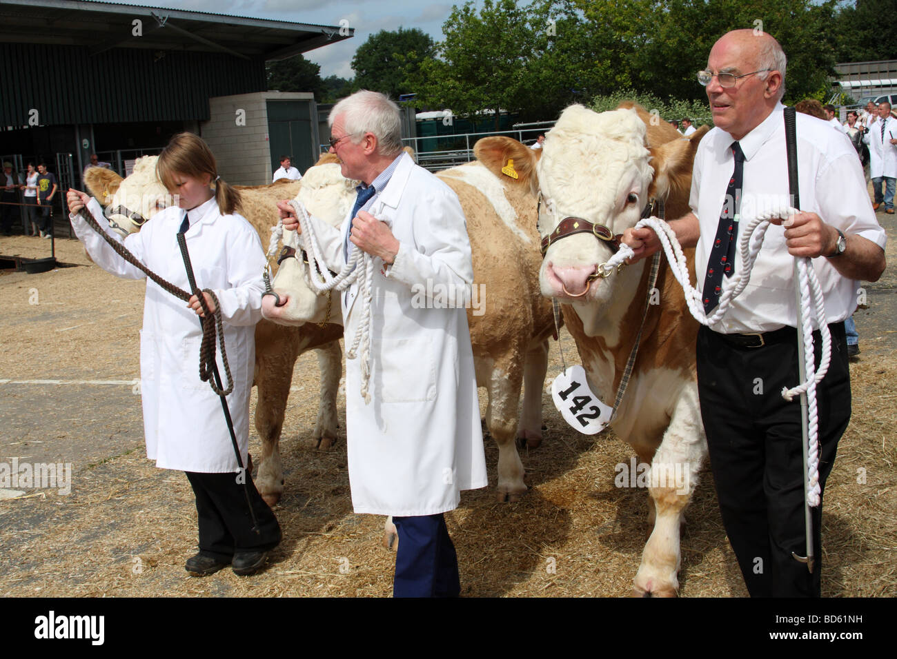 Les agriculteurs avec les bovins à l'Bakewell Show, Bakewell, Derbyshire, Angleterre, Royaume-Uni Banque D'Images