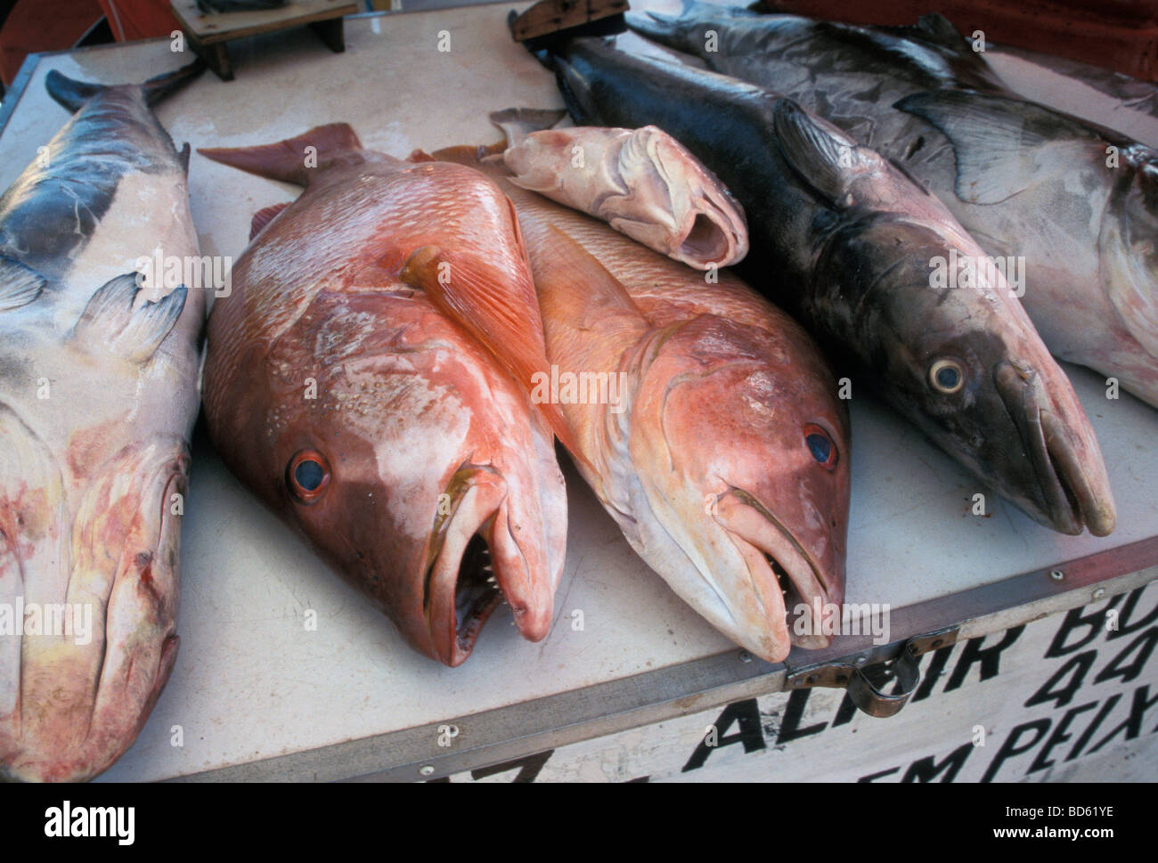 Un matin, marché de poisson de Fortaleza une destination majeure dans le nord-est du Brésil Banque D'Images