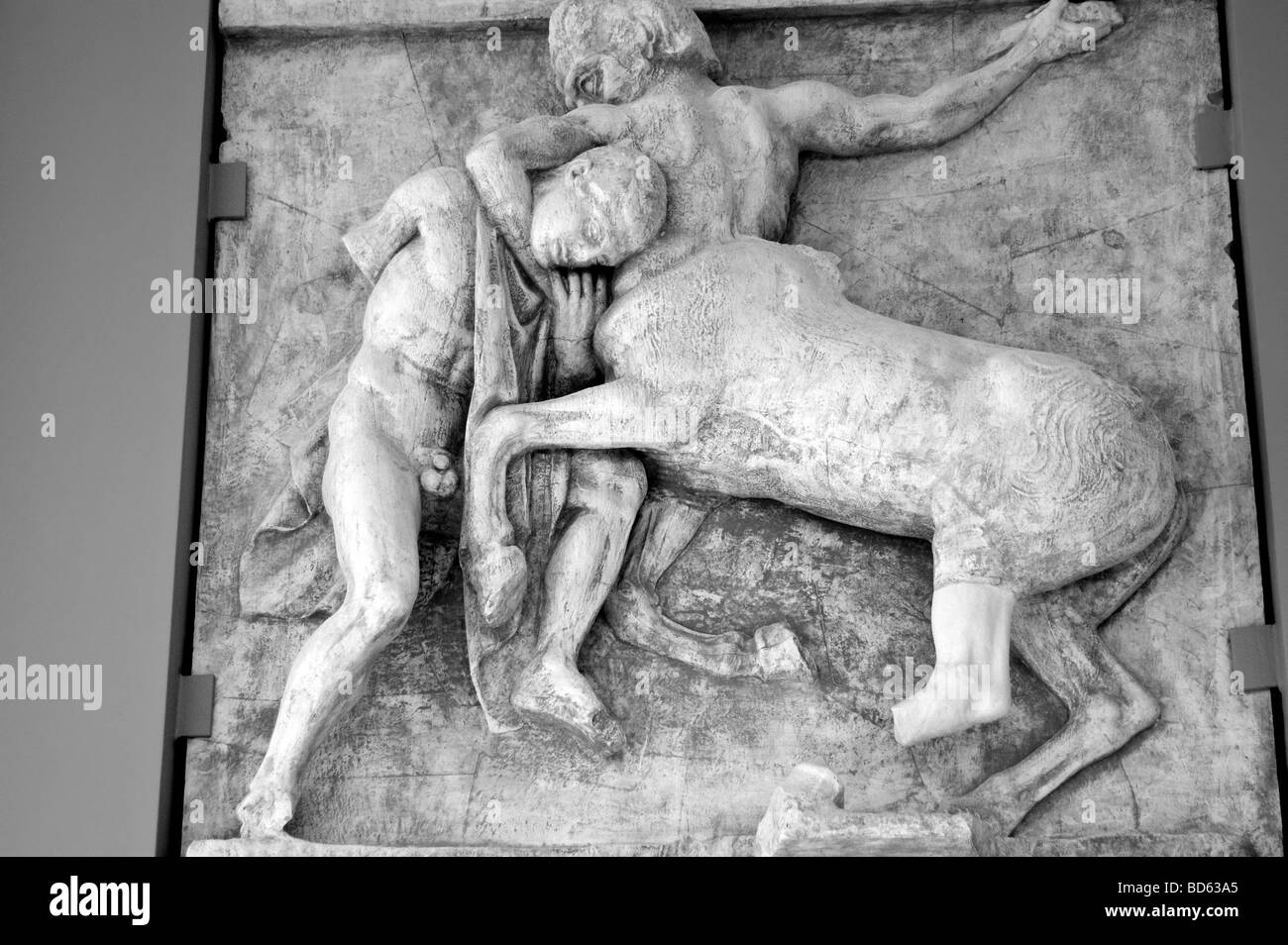 Frise en pierre- un minotaure surmonter une Lapith, exposées dans le nouveau musée de l'Acropole, Athènes Banque D'Images