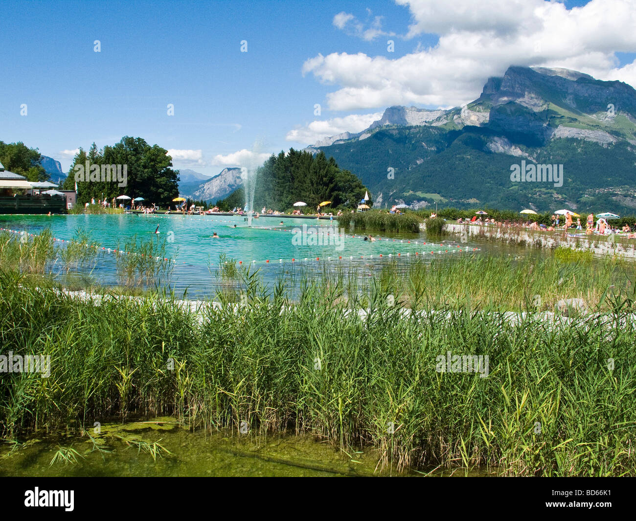 Lac biotope de Combloux (74 Photo Stock - Alamy