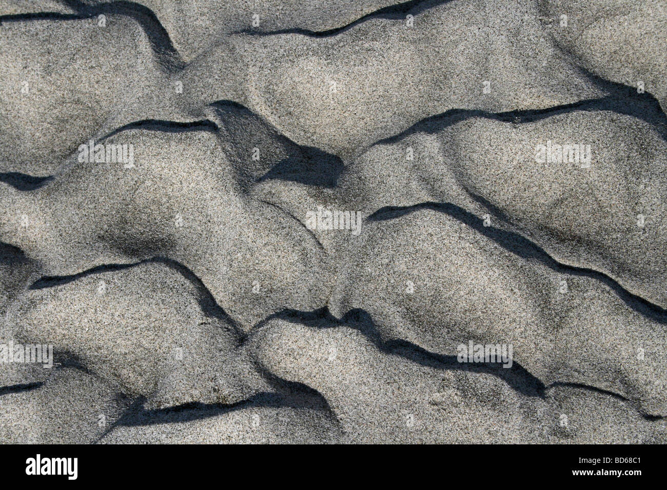 Les Ondulations de sable gris sur le Brahmapoutre, Assam, Inde Banque D'Images
