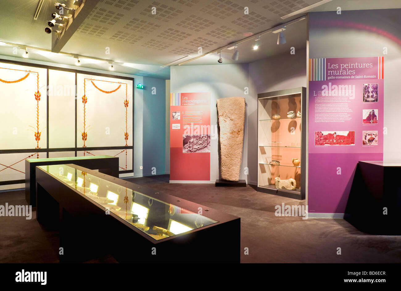 Voir l'exposition de la salle d'affichage nouvellement converti en musée Archéologique / Musée archéologique - Martizay, Indre, France. Banque D'Images