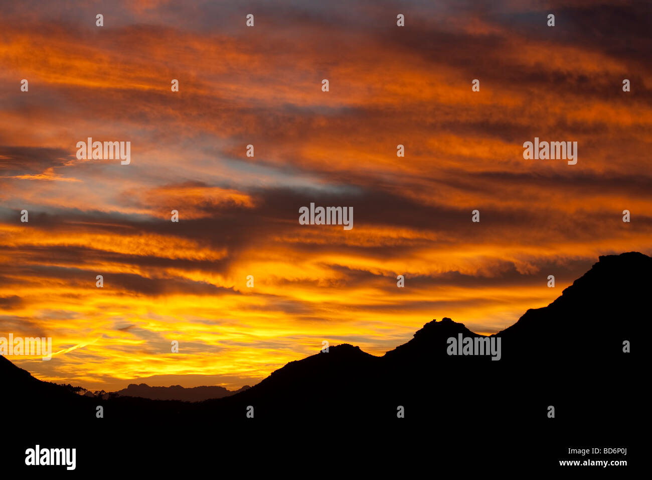 Lever du soleil Parc National de Table Mountain Cape Town Afrique du Sud Banque D'Images