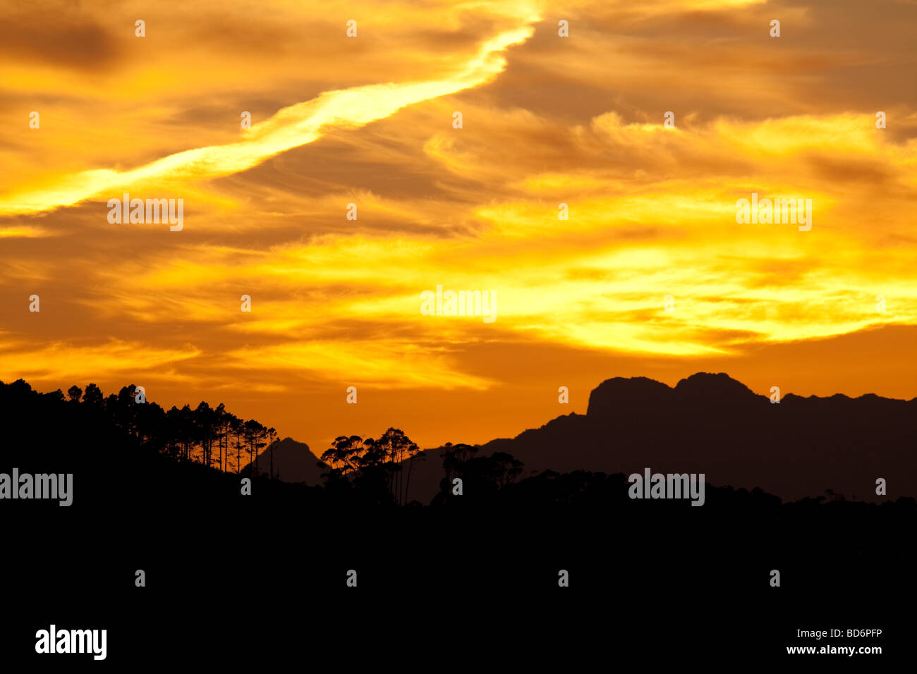 Lever du soleil Parc National de Table Mountain Cape Town Afrique du Sud Banque D'Images