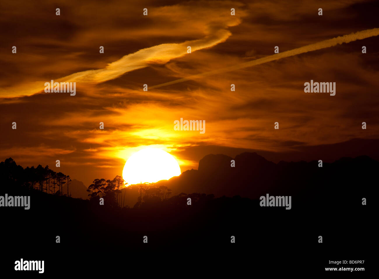 Lever du soleil Parc National de Table Mountain Cape Town Afrique du Sud Banque D'Images