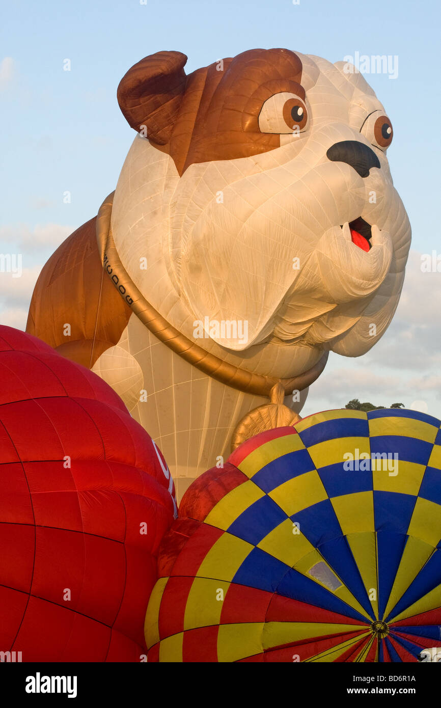 Bristol ballon Fiesta 2009, trois ballons préparer tôt le matin pour le décollage y compris le chien Churchill Banque D'Images