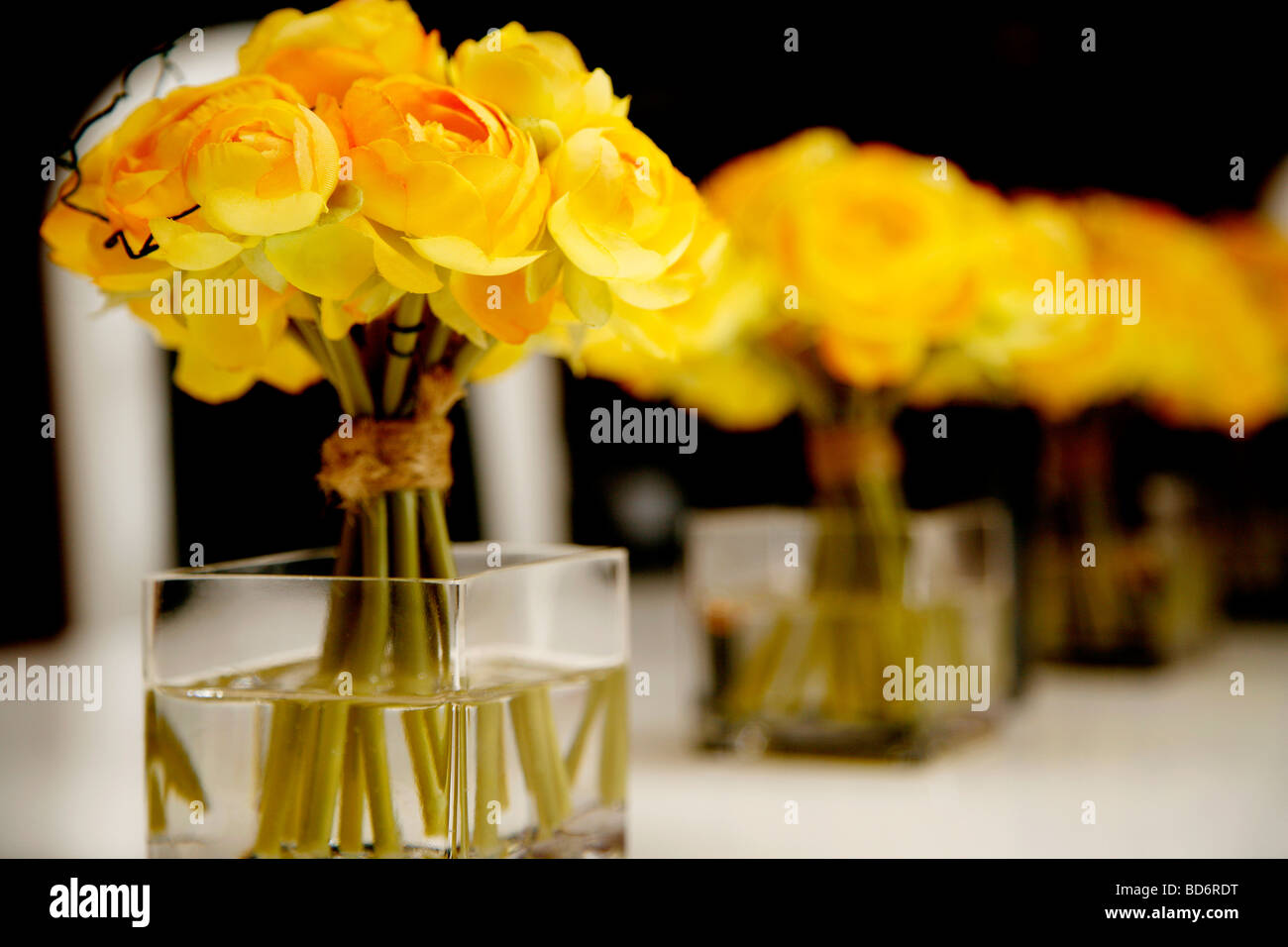 Une rangée de trois bouquets de fleurs jaune faux gel situé dans l'eau sur une table Banque D'Images