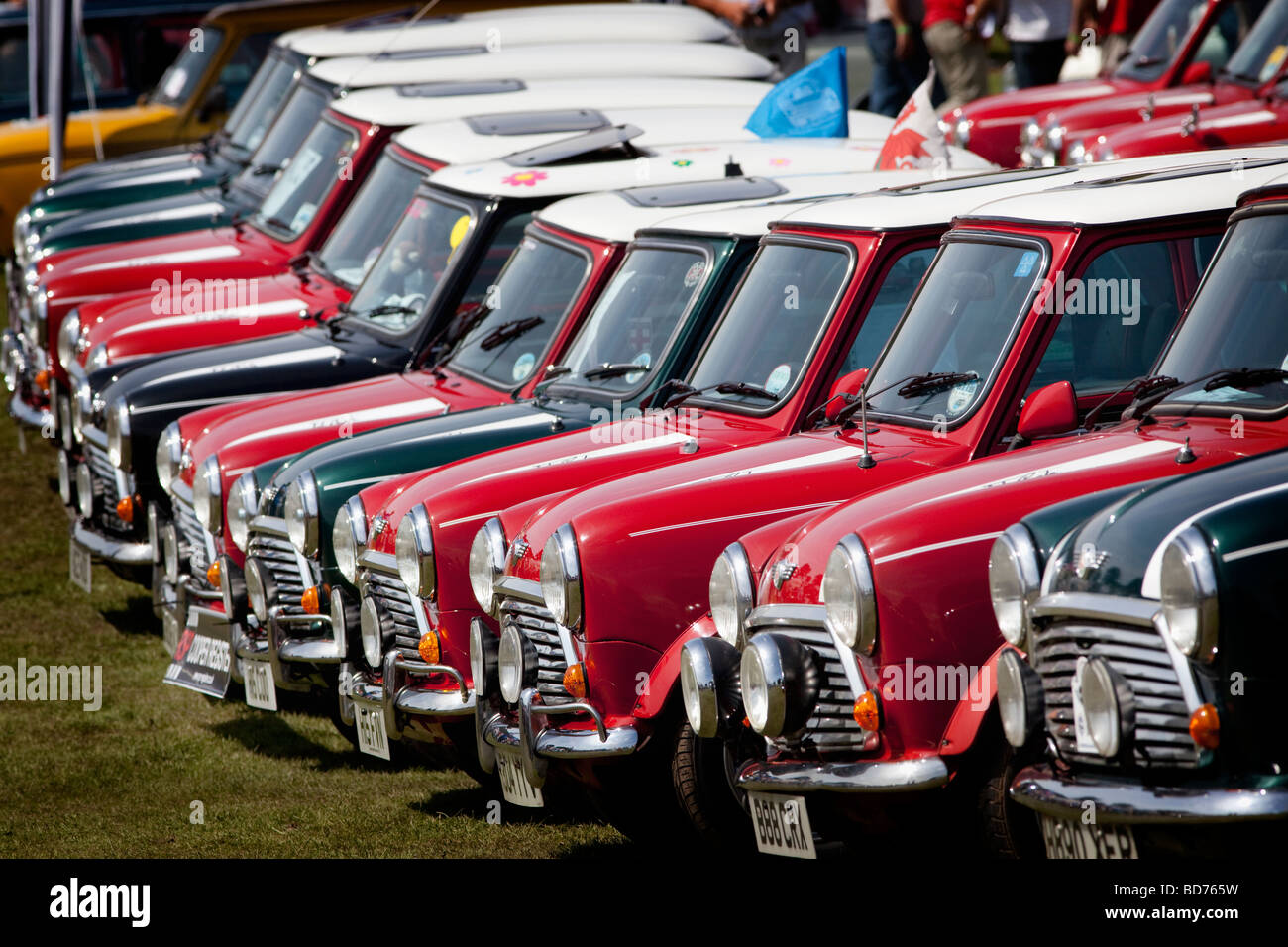 Une rangée de Mini Cooper voitures de rallye à l'occasion du 50e anniversaire de la naissance du marquage Mini, Birmingham, Angleterre, RU Banque D'Images