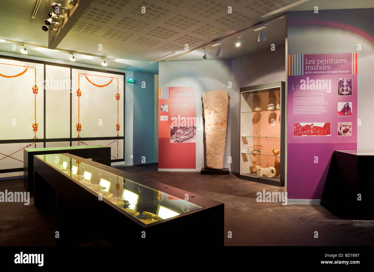 Voir l'exposition de la salle d'affichage nouvellement converti en musée Archéologique / Musée archéologique - Martizay, Indre, France. Banque D'Images