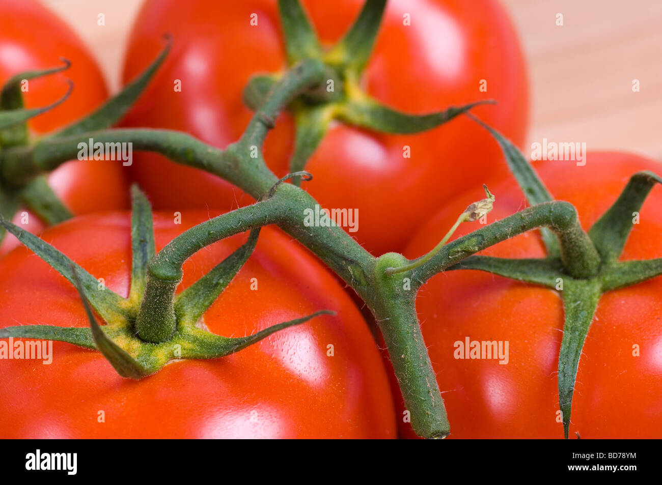 Les tomates Banque D'Images