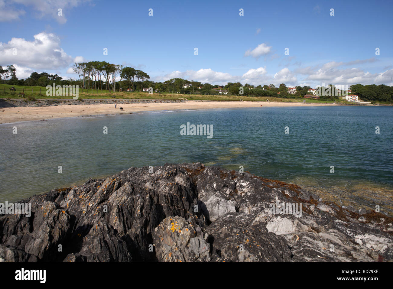 Helens bay beach maintenant partie de crawfordsburn Country Park dans le comté de Down en Irlande du Nord uk Banque D'Images