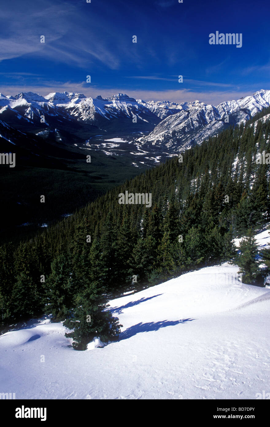 La gamme Sundance, vu de la montagne de soufre, Banff, Alberta, province, Canada Banque D'Images