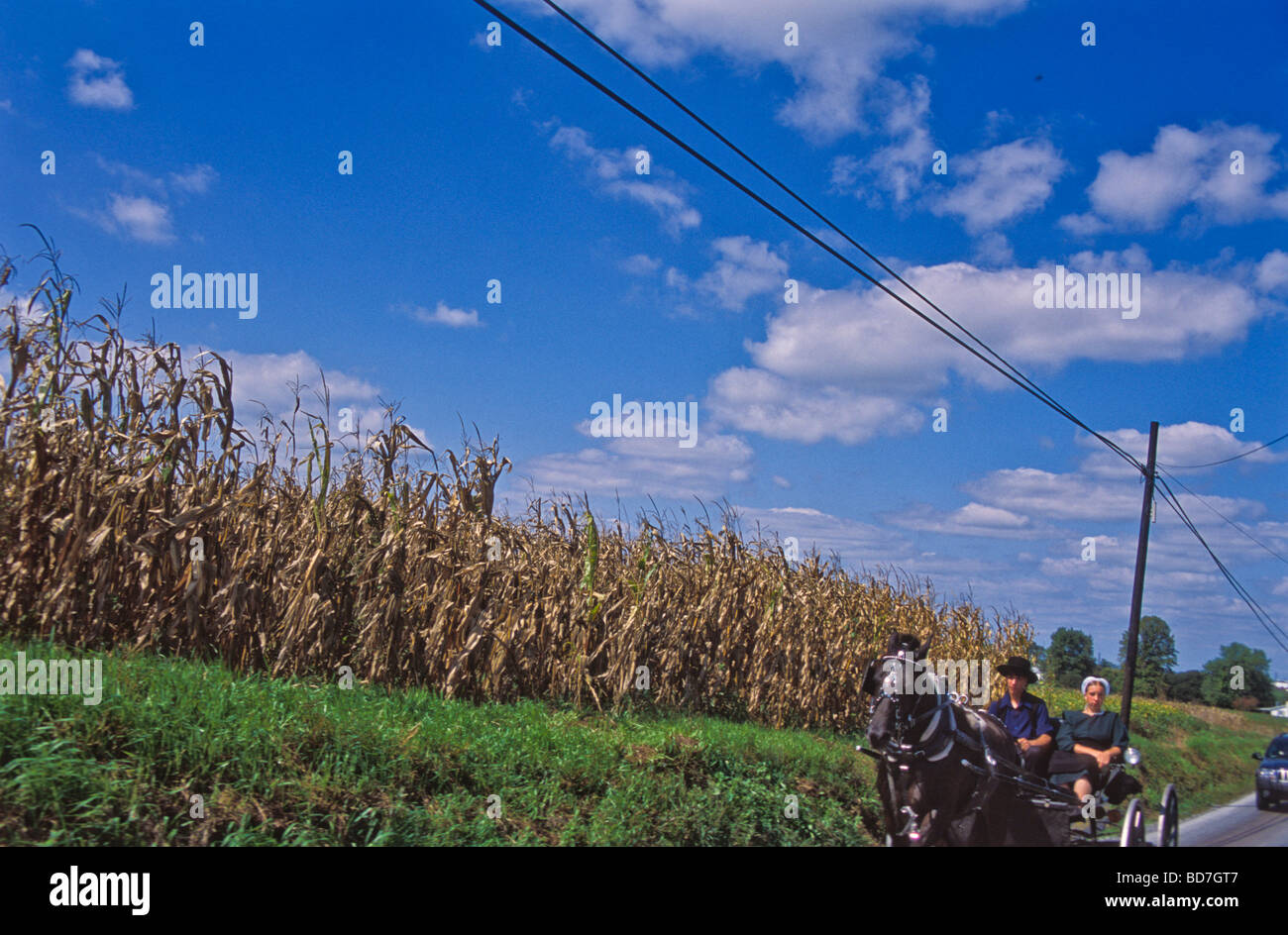 Jeune couple amish dans open carriage horse & buggy travel Lancaster comté rural route PA Banque D'Images