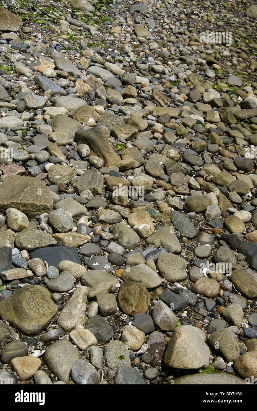 Rochers sur un fond de la rivière, Banque D'Images