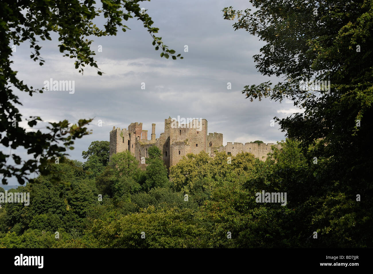 Ludlow Castle dans le Shropshire entouré par les arbres de forêt Mortimers Banque D'Images