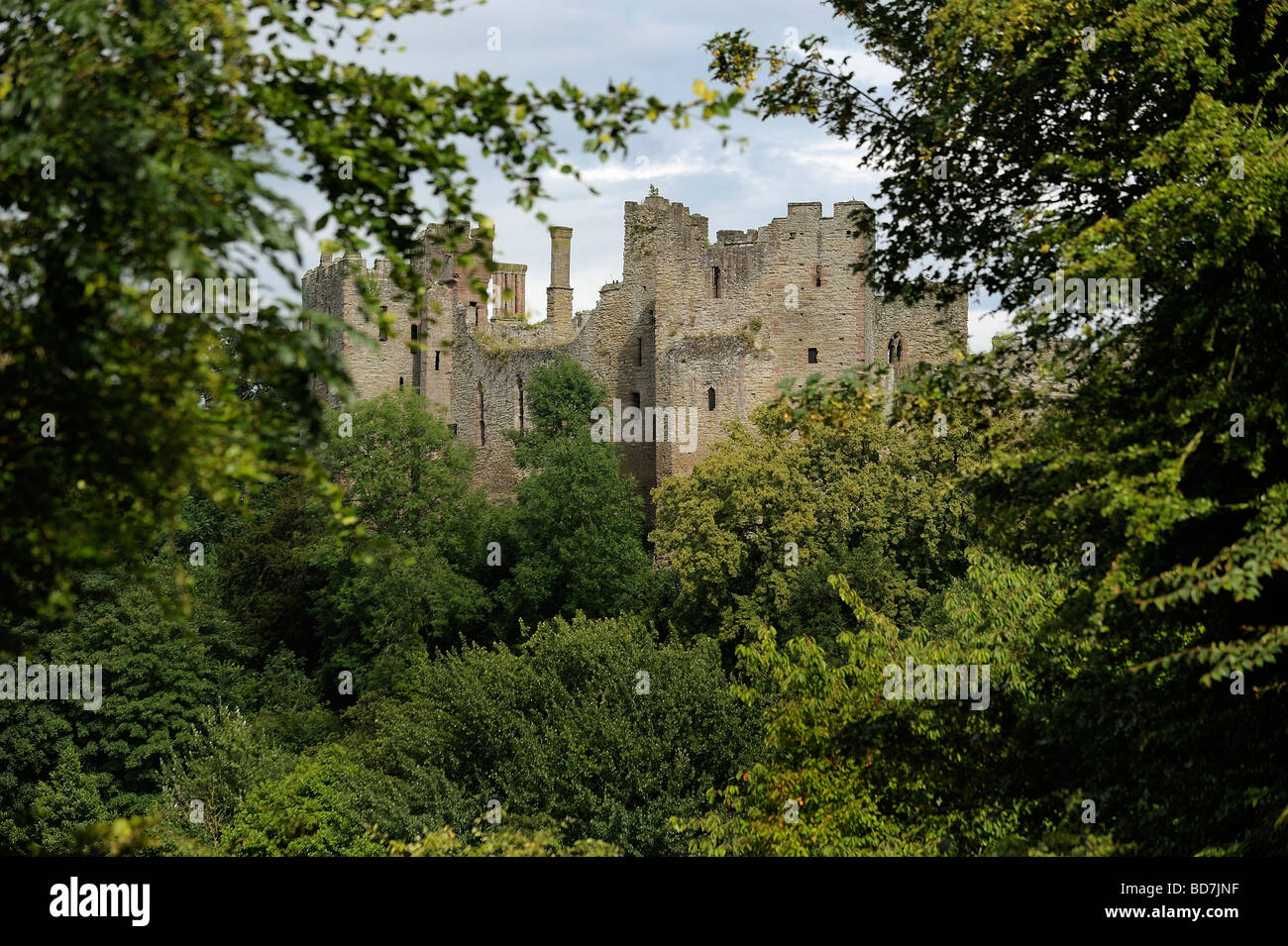 Ludlow Castle dans le Shropshire entouré par les arbres de forêt Mortimers Banque D'Images
