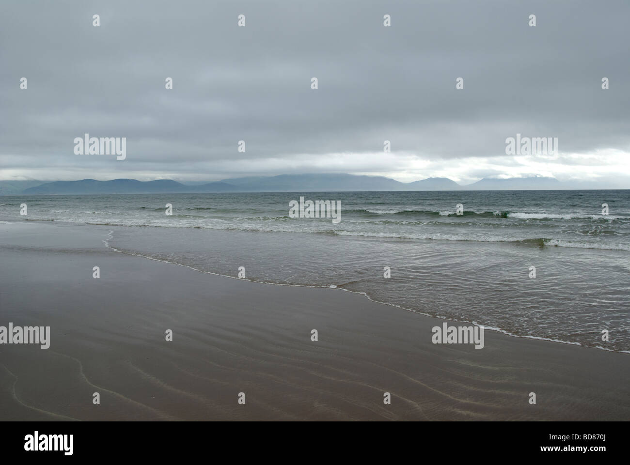 Inch Beach, péninsule de Dingle, Kerry, Irlande Banque D'Images