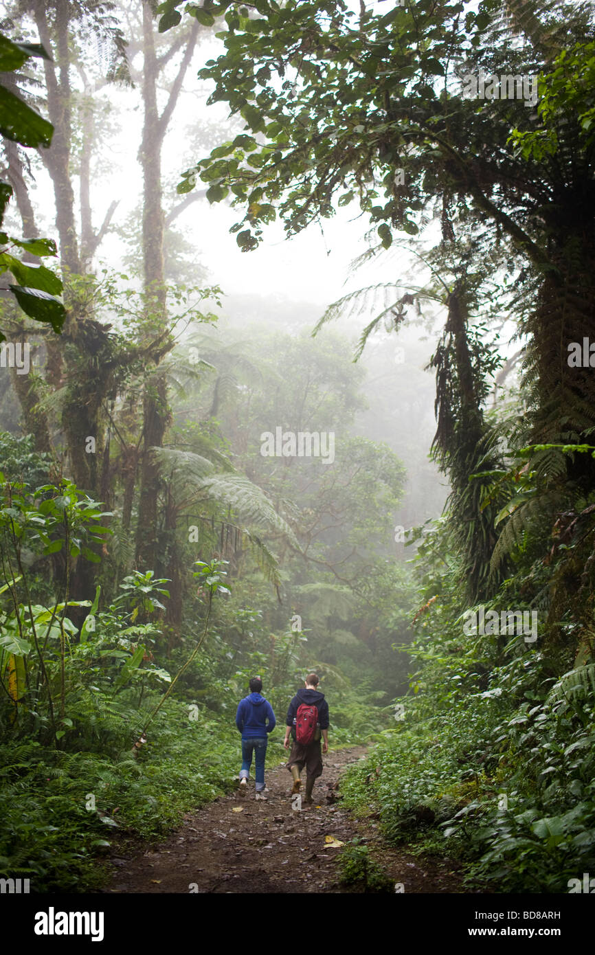 Jeune couple en train de marcher le long d'un sentier dans la réserve de la Forêt Nuageuse de Monteverde au Costa Rica. Banque D'Images