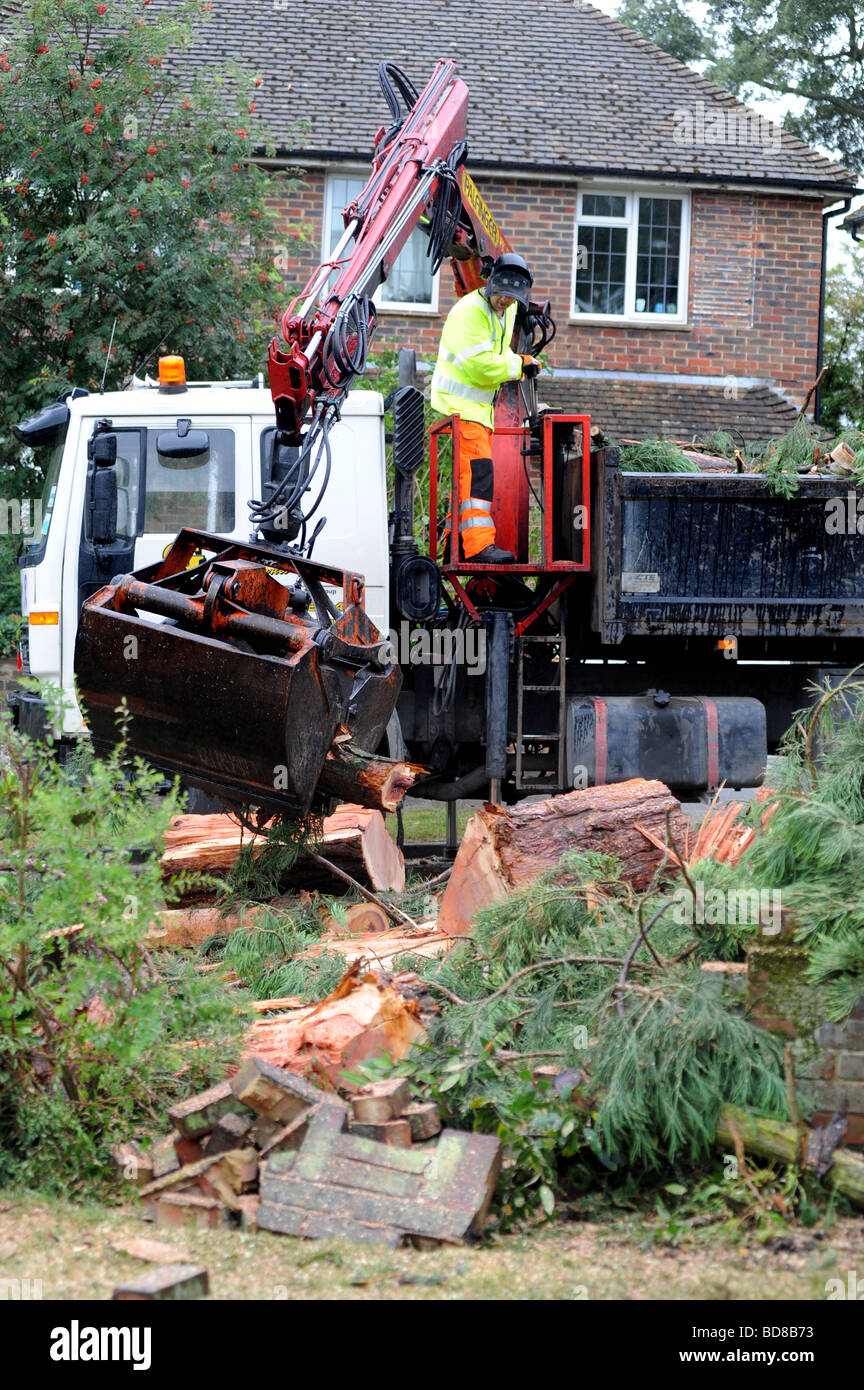 Tree Surgeon travaux en réduisant le nombre d'un grand arbre après qu'il a été frappé par la foudre et endommagé Banque D'Images