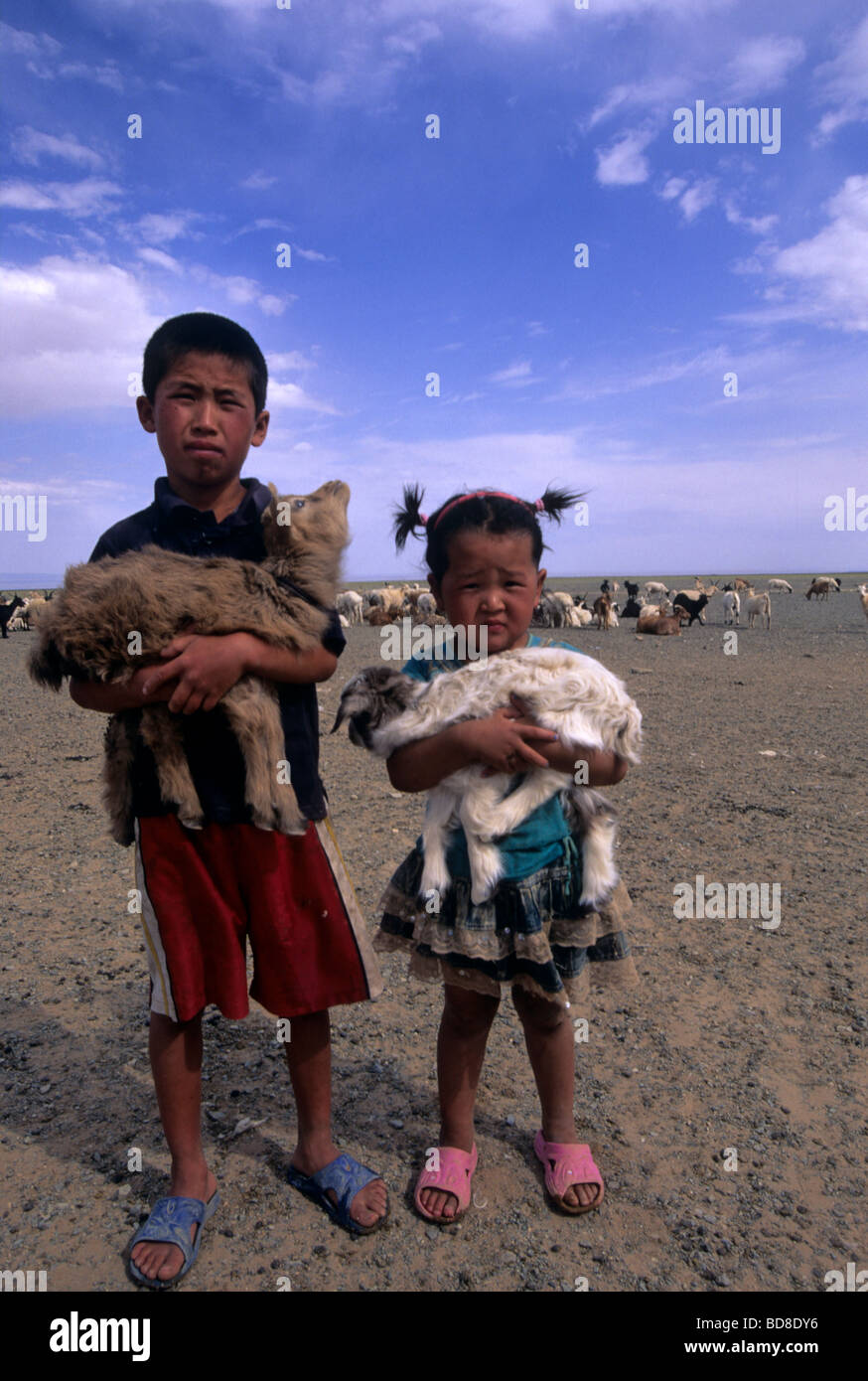 Enfants mongols tenant un agneau dans les bras, la Mongolie Banque D'Images
