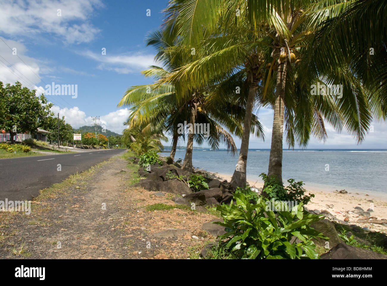 Des cocotiers près de la plage et de la mer et le long de la route, Luatuanu,u, près de l'île d'Upolu, Apia, Samoa occidentales Banque D'Images