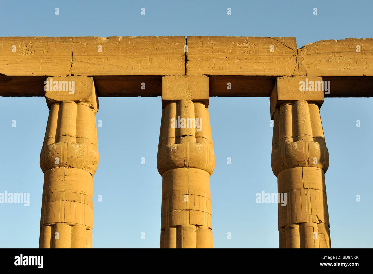 Architrave et capitales d'Papyriform fermé de colonnes Papyrus Grand Soleil Cour d'Amenhotep III à Louxor Egypte Banque D'Images