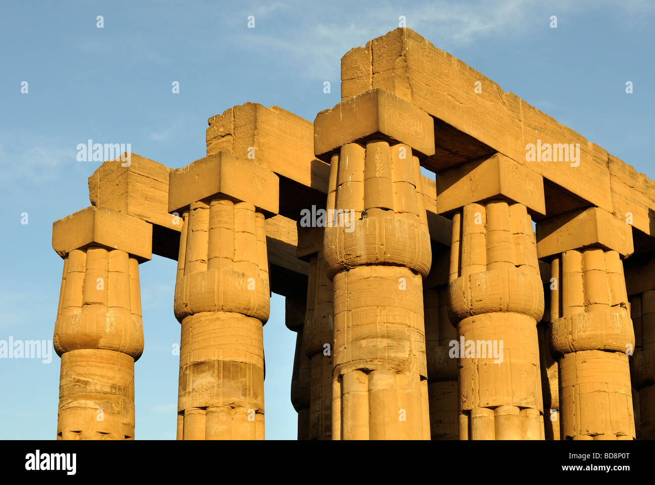 Papyriform Colonnes Papyrus salle hypostyle du temple de Louxor à l'Egypte Thèbes Banque D'Images
