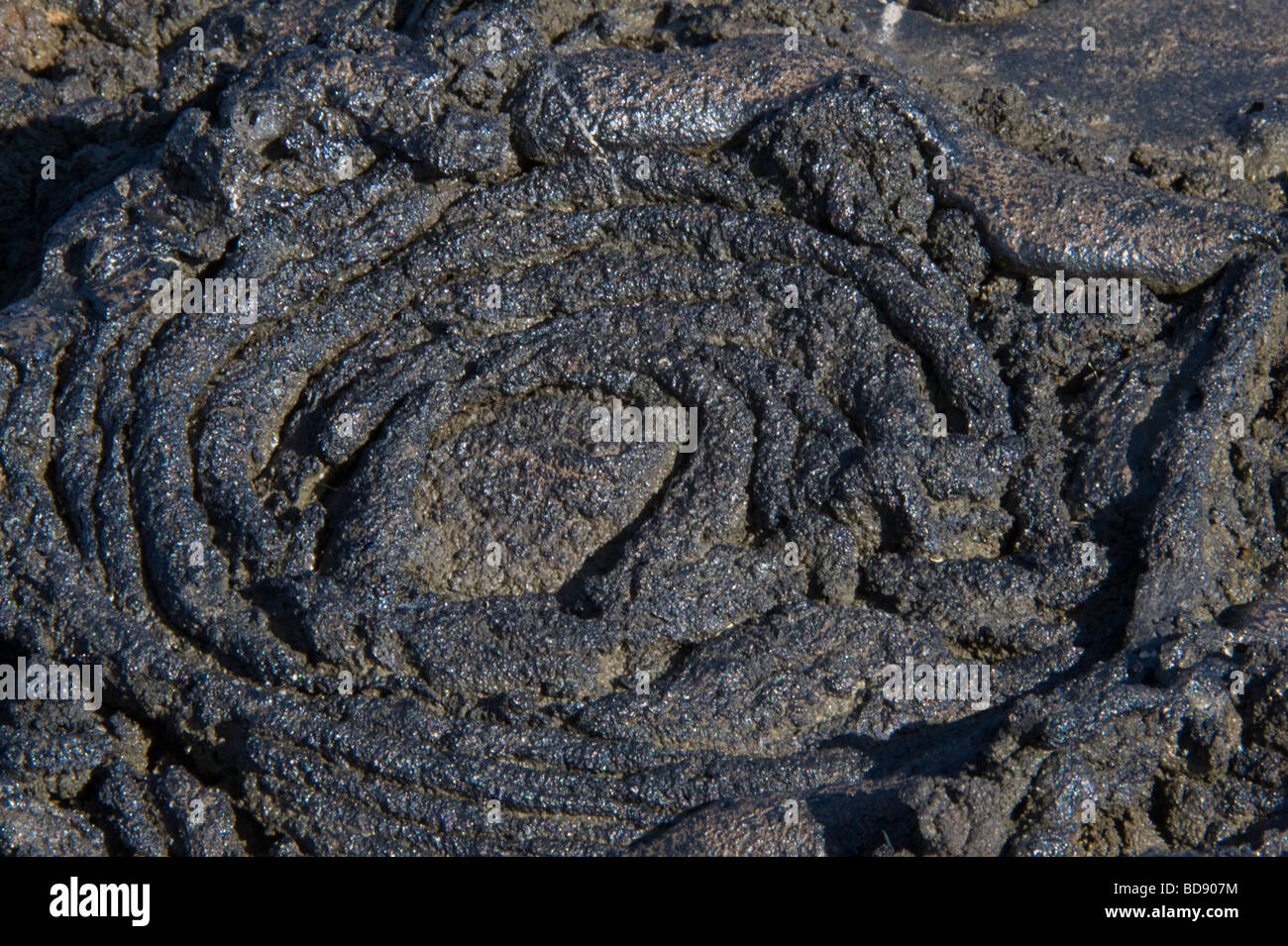 Sex Pahoehoe Lava crée Ribbon-Like façonne comme il se refroidit Sullivan Bay l'île de Santiago de l'océan Pacifique de l'Equateur Galapagos Banque D'Images