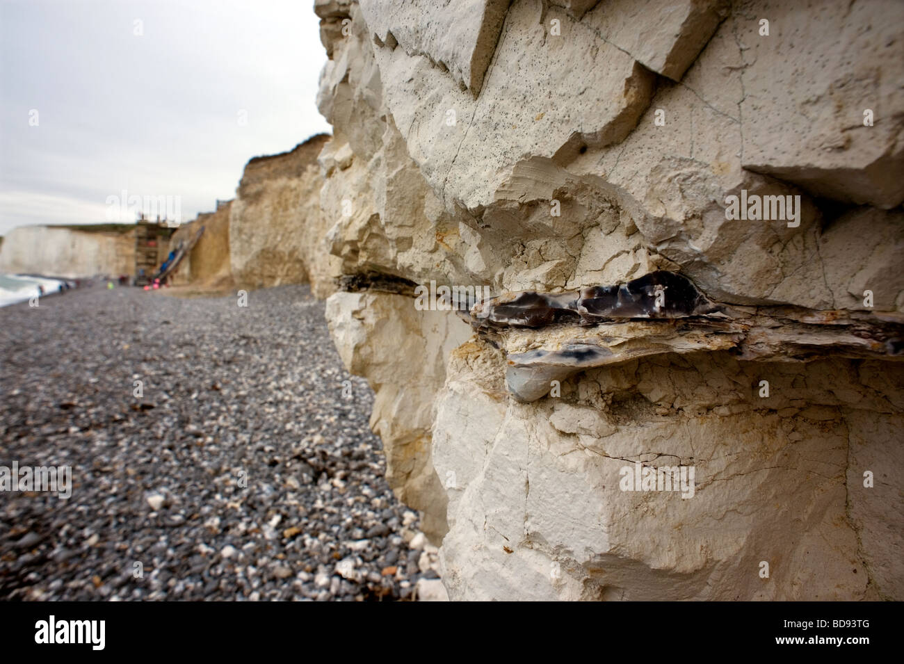 Urrugne East Sussex Grande-bretagne Flint dans la couche de craie font face à l'érosion côtière exemplaire Banque D'Images