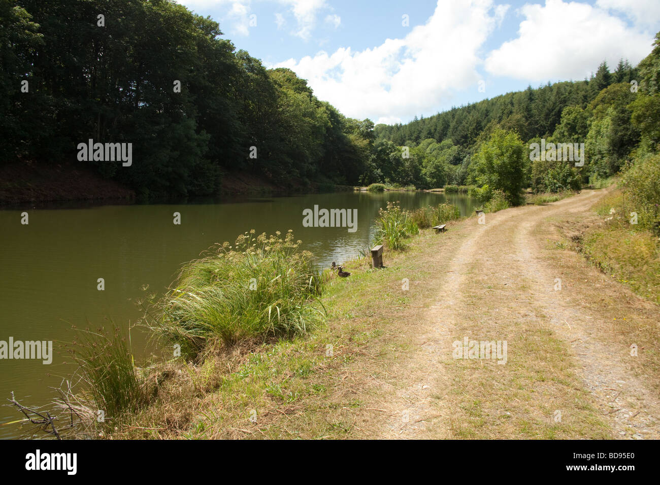 Newhouse farm truites Devon, Angleterre Banque D'Images