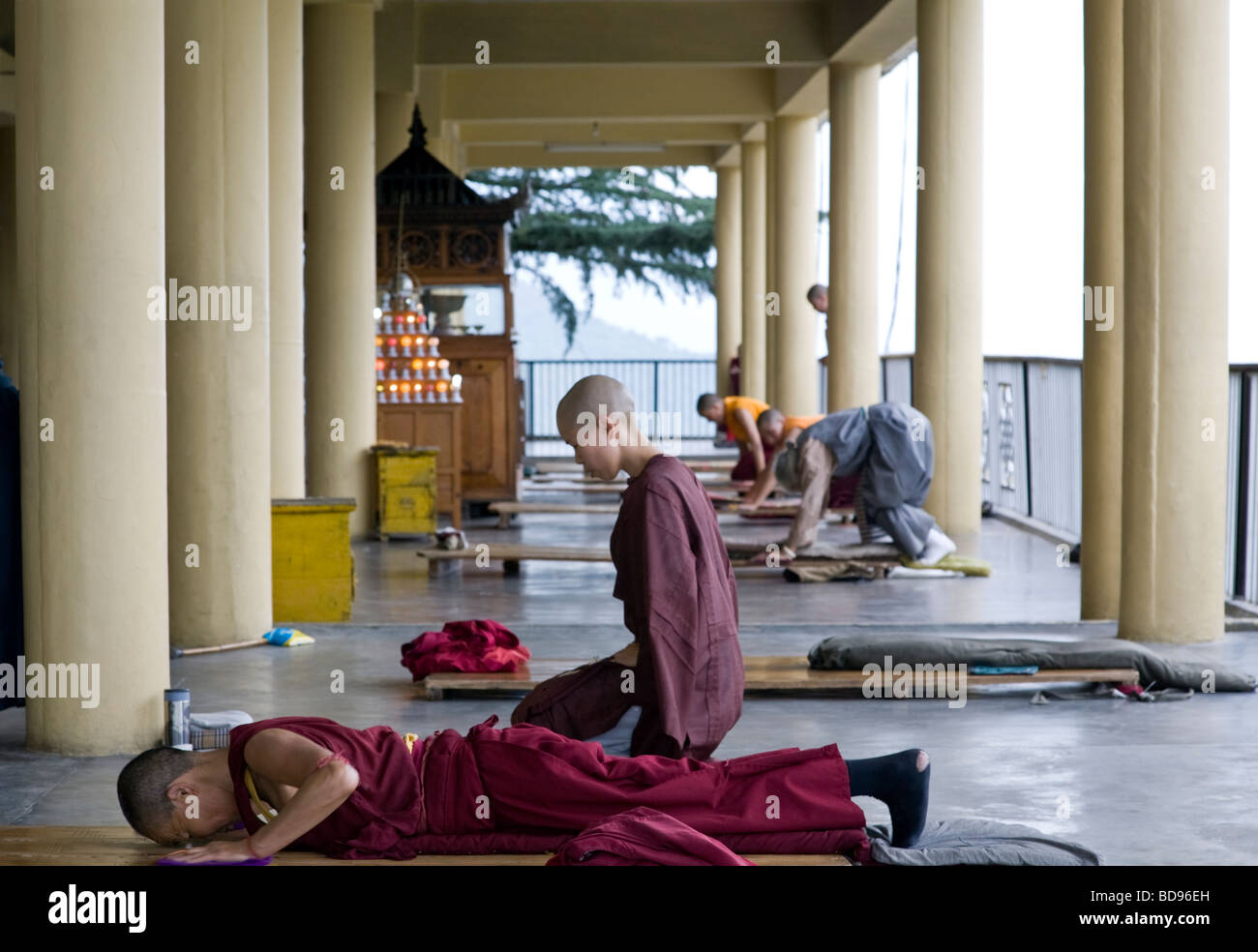 Moines et nonnes bouddhistes faisant le rituel prosternations. Temple de Kalachakra. McLeod Ganj. L'Inde Banque D'Images