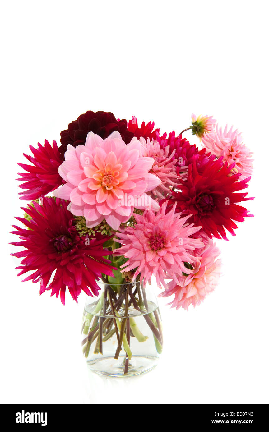 Joyeux bouquet dans vase avec rose et rouge Dahlias Banque D'Images
