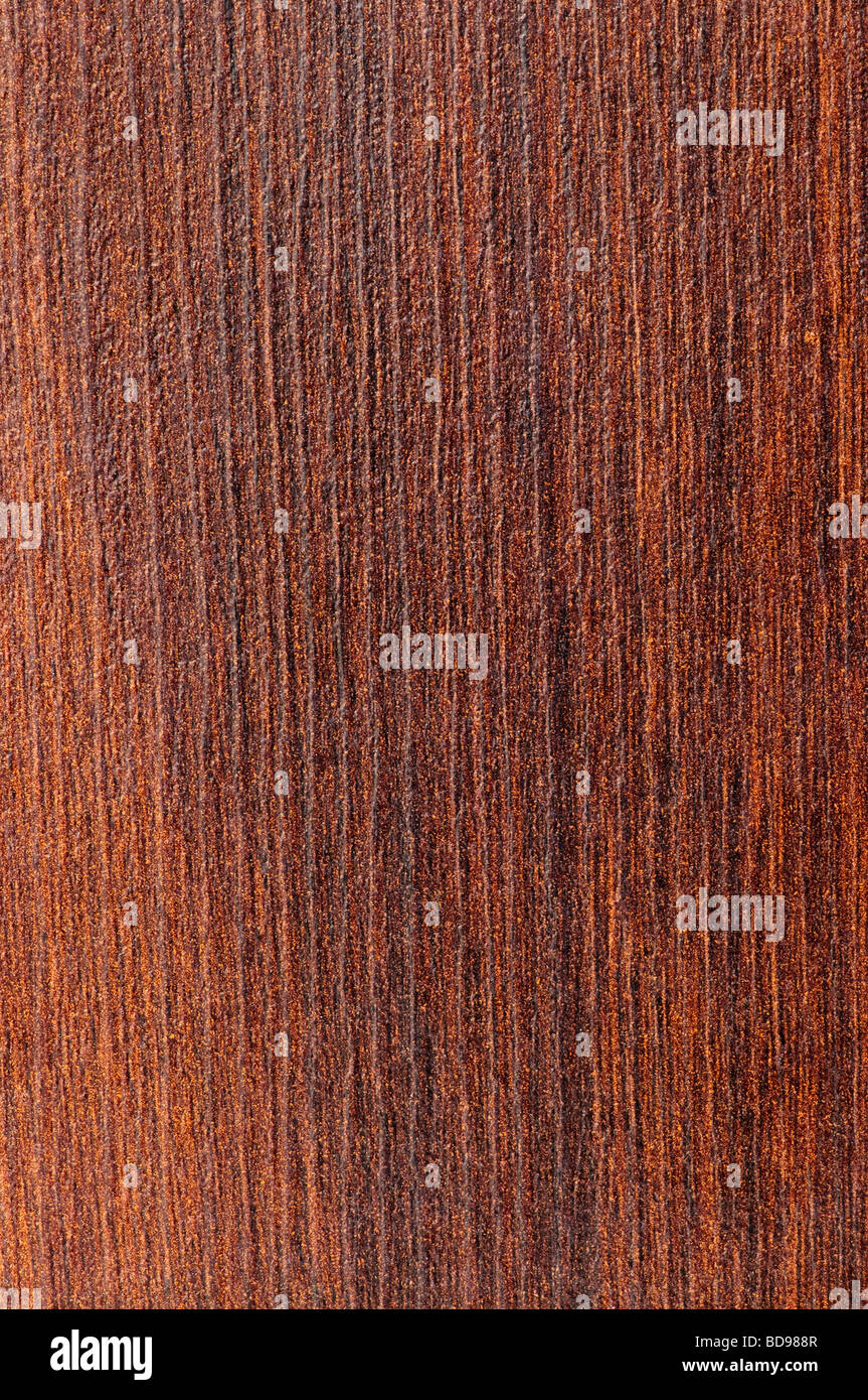 Close up de l'échantillon de bois franc préverni Banque D'Images