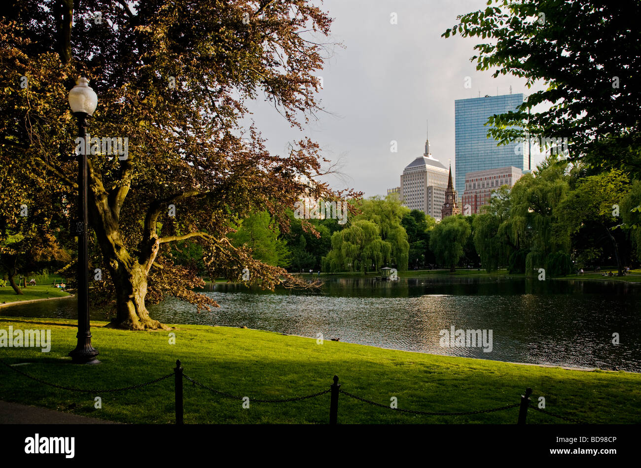 Le Lagon est un petit lac dans le BOSTON COMMON qui est un parc public et jardin Boston Massachusetts Banque D'Images