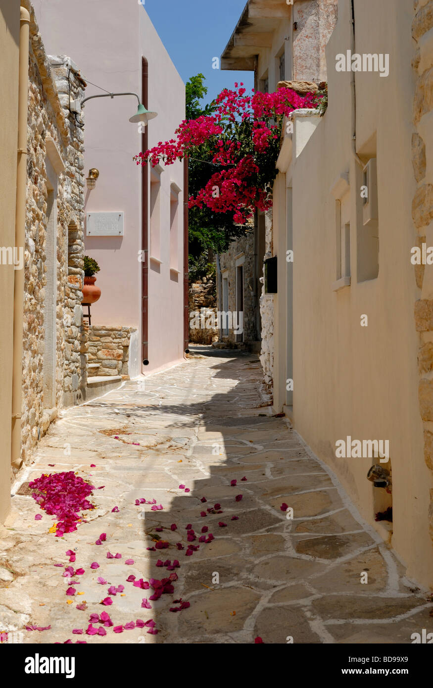 Une belle vue sur la ruelle étroite au coeur du petit village historique de Halki. Halki, Tragaea, l'île de Naxos, Cyclades, Gr Banque D'Images