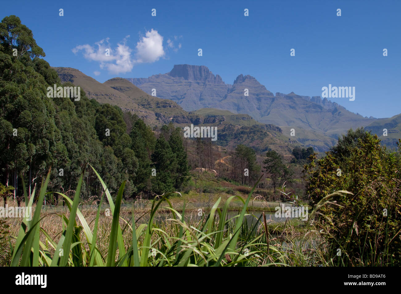 Vue sur les montagnes du Drakensberg du Champagne Castle Resort. Drakensberg, Kwazulu-Natal, Afrique du Sud. Banque D'Images