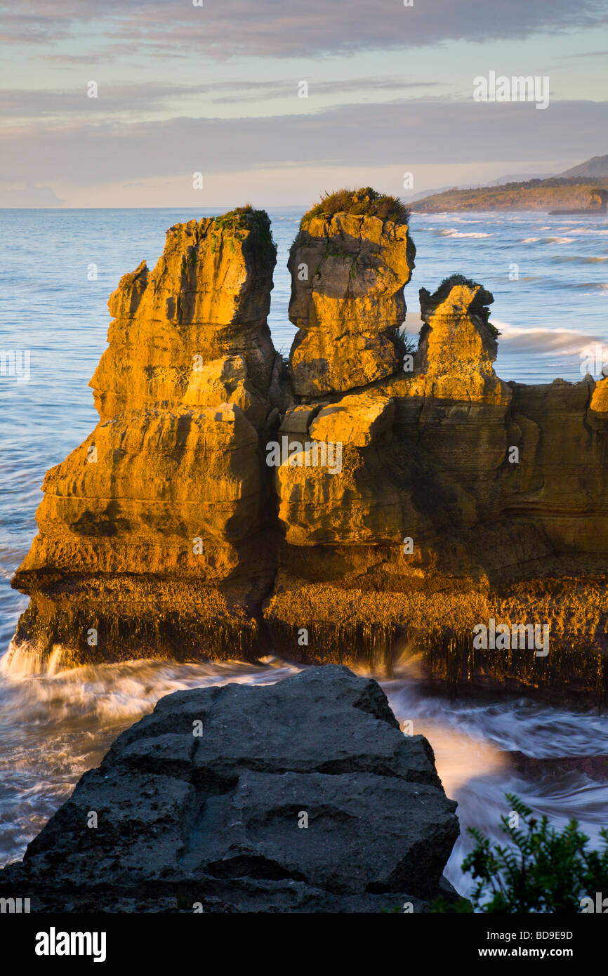 La pile de la mer de la côte ouest Punakaiki ile sud Nouvelle Zelande Banque D'Images La pile de la mer de la côte ouest Punakaiki ile sud Nouvelle Zelande Banque D'Images