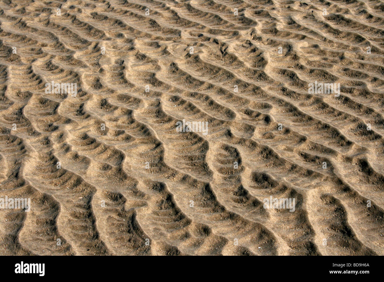 Les ondulations du sable sur la plage de Crosby Parc Marin, Merseyside, Royaume-Uni Banque D'Images