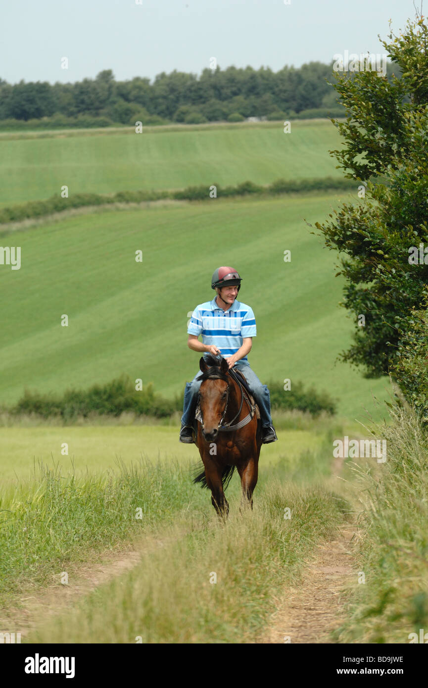 Horse Rider sur une ferme dans la région des Midlands en Angleterre Banque D'Images