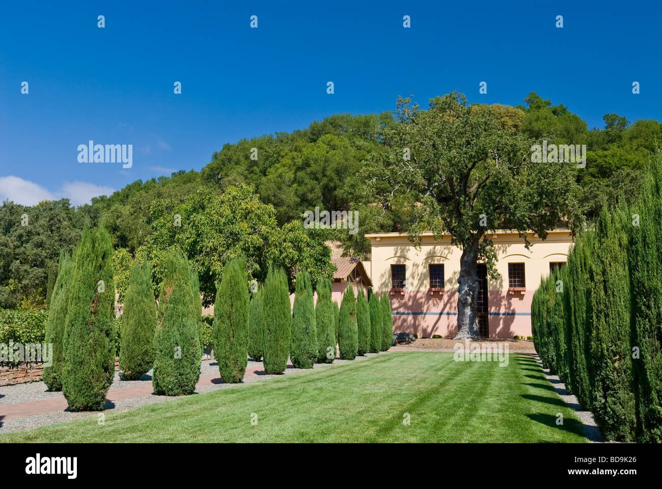 Clos Pegase Winery, calistoga, Napa Valley, Californie, Michael Graves, architecte. Banque D'Images