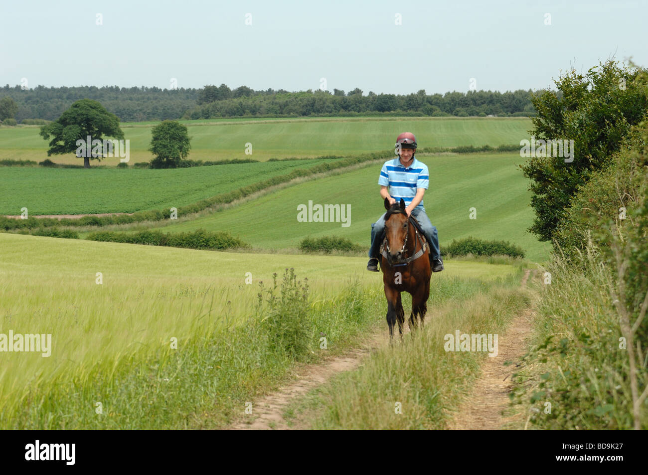 Horse Rider sur une ferme dans la région des Midlands en Angleterre Banque D'Images