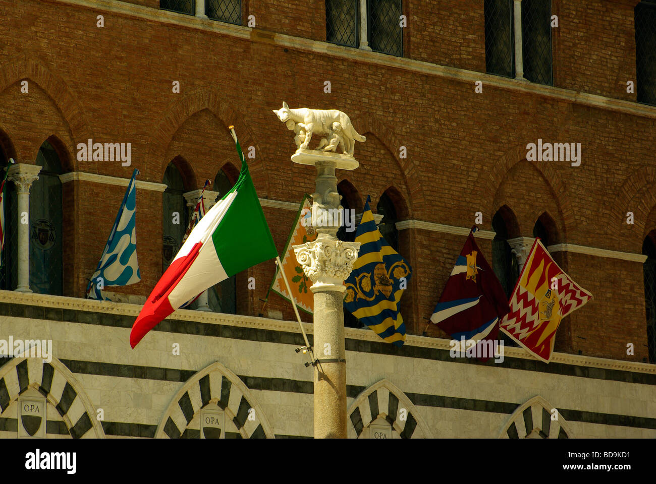 La louve symbole de Sienne, sur un piédestal en face de Santa Maria della Scala Banque D'Images