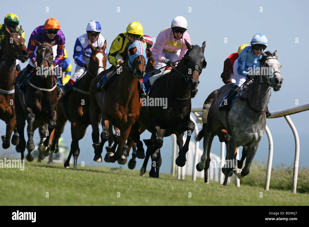 Les jockeys et les chevaux en action lors d'une course de chevaux. Banque D'Images